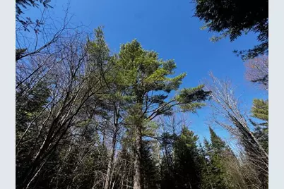 So 001 Plan 2 Lot 16.1 Long Falls Dam Road, Limington, ME 04961 - Photo 31