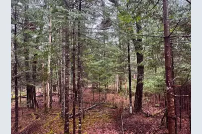 So 001 Plan 2 Lot 16.1 Long Falls Dam Road, Limington, ME 04961 - Photo 19