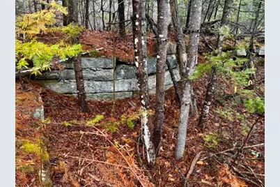 So 001 Plan 2 Lot 16.1 Long Falls Dam Road, Limington, ME 04961 - Photo 9