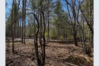 So 001 Plan 2 Lot 16.1 Long Falls Dam Road, Limington, ME 04961 - Photo 13