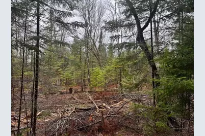 So 001 Plan 2 Lot 16.1 Long Falls Dam Road, Limington, ME 04961 - Photo 21