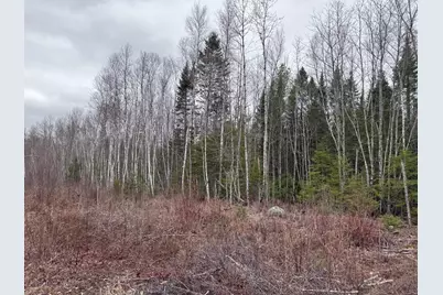 36 Otter Trail, Greenbush, ME 04418 - Photo 7