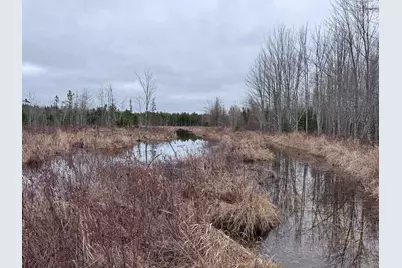 36 Otter Trail, Greenbush, ME 04418 - Photo 11