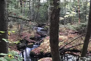 78 Collins Rd, Manchester, ME 04351 - Photo 75