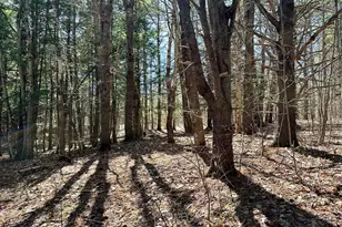 376 S Belfast Ave, Augusta, ME 04330 - Photo 73