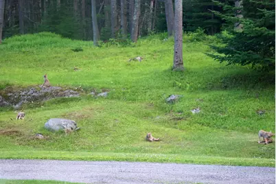 [Address not provided], Scarborough, ME 04074 - Photo 61