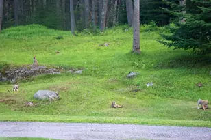 [Address not provided], Scarborough, ME 04074 - Photo 61