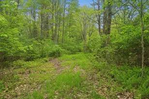 [Address not provided], Scarborough, ME 04074 - Photo 83