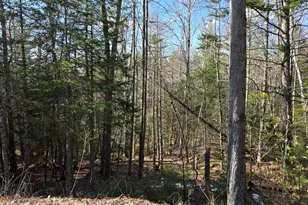 19 Tower Rd, Roxbury, ME 04275 - Photo 27