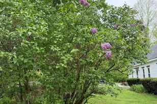 1455 Washington Rd, Waldoboro, ME 04572 - Photo 47