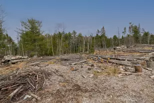 327 Elm St, Machias, ME 04654 - Photo 17