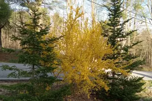 497 Back Rd, Shapleigh, ME 04076 - Photo 13