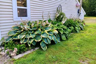 55 Christian Hill Rd, Charleston, ME 04422 - Photo 13