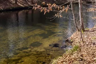 471 Bisbee Town Rd, Waterford, ME 04088 - Photo 13