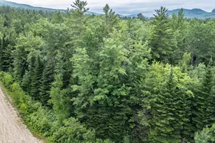 Lot 15 Countryside Ln, Bethel, ME 04217 - Photo 7