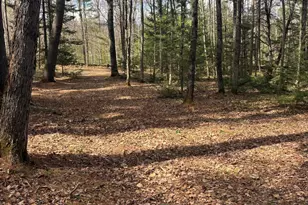81 Applegate Ln, Wilton, ME 04294 - Photo 11