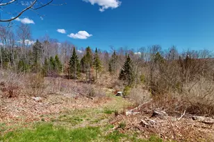 868 Paris Rd, Hebron, ME 04238 - Photo 59