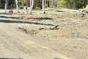 112 Sinclair Rd, Sinclair, ME 04779 - Photo 61