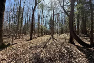 21 Curtis Rd, Freeport, ME 04032 - Photo 17