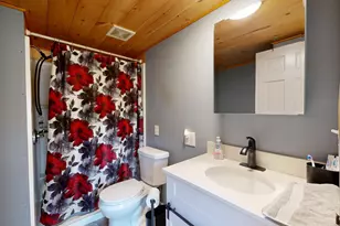 24 Harvard St, Sebago, ME 04029 - Photo 25