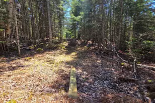 170 Ocean View Rd, Jonesboro, ME 04648 - Photo 49