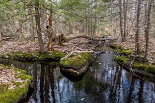 7 Johnnys Wy, York, ME 03902 - Photo 63
