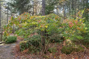 155 Long Point Way, Orland, ME 04472 - Photo 35