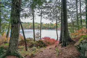 155 Long Point Way, Orland, ME 04472 - Photo 3