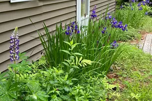 52 Main Rd, Waterville, ME 04938 - Photo 83