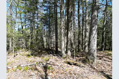 Lot 117N Long Lake Road, Wesley, ME 04686 - Photo 17