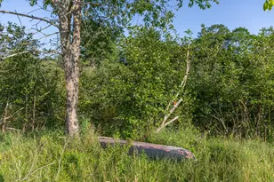 11 Woodbury Wy, Verona, ME 04416 - Photo 65