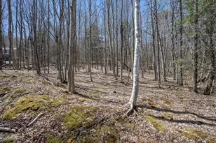 [Address not provided], West Paris, ME 04289 - Photo 39