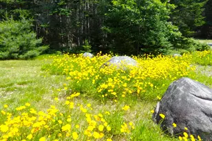 73 Taunton Bay Shores Rd, Franklin, ME 04634 - Photo 37