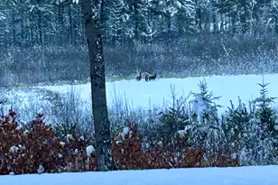 68 Adam's Way, Freeport, ME 04032 - Photo 83