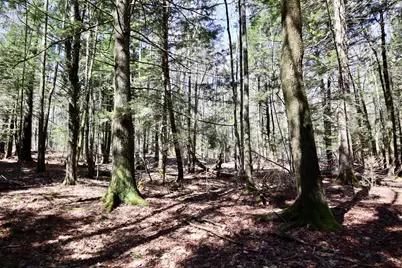 218 Plummer Road, Richmond, ME 04357 - Photo 23