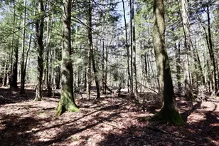 218 Plummer Rd, Richmond, ME 04357 - Photo 23