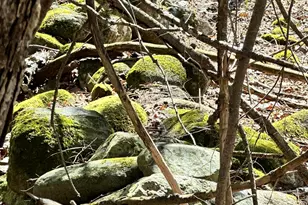 218 Plummer Rd, Richmond, ME 04357 - Photo 29