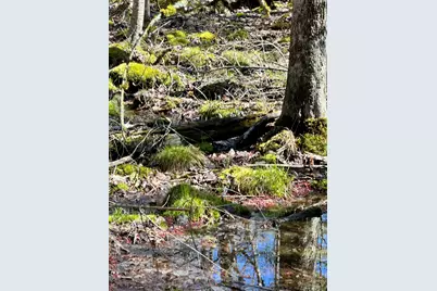 218 Plummer Road, Richmond, ME 04357 - Photo 31
