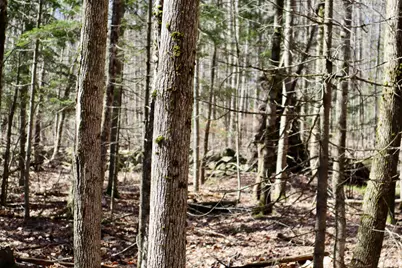 218 Plummer Road, Richmond, ME 04357 - Photo 25