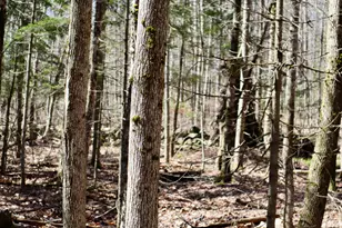 218 Plummer Rd, Richmond, ME 04357 - Photo 25