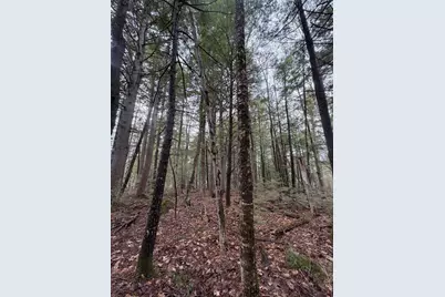 L47-2 Salmon Circle, Hartland, ME 04943 - Photo 9