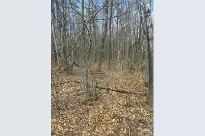 Lot 2-7 Prospect Street, Wilton, ME 04294 - Photo 5