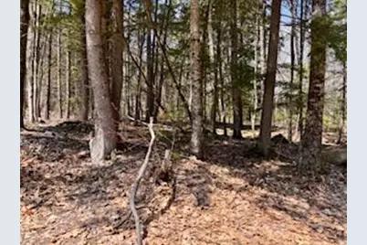 Lot #1 Wells Road S, Bridgton, ME 04009 - Photo 13