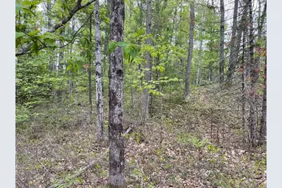 0 Misty Lane, Brownfield, ME 04010 - Photo 5