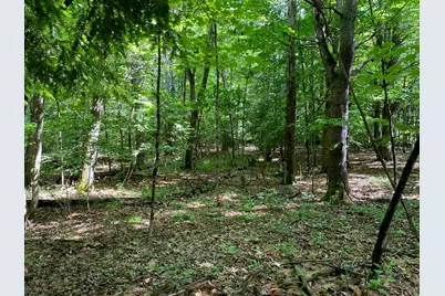 34-Acres Deering Drive, Gorham, ME 04038 - Photo 7