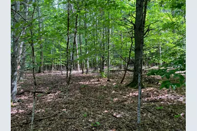 34-Acres Deering Drive, Gorham, ME 04038 - Photo 3