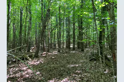 34-Acres Deering Drive, Gorham, ME 04038 - Photo 5