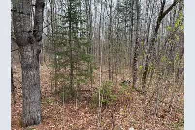 Lot 21 Bog Road, Benton, ME 04901 - Photo 5