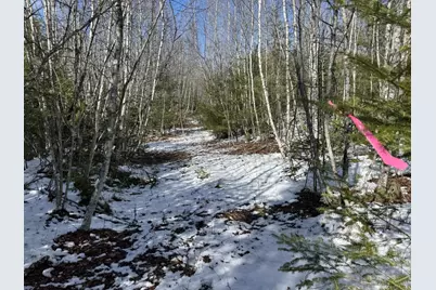 Lot 21 Bog Road, Benton, ME 04901 - Photo 3