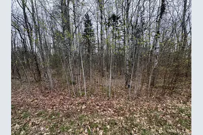 Lot 23 N Dixmont Road, Troy, ME 04987 - Photo 3